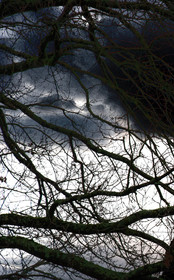 HIVER-01.jpg