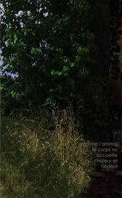ETE-10.jpg