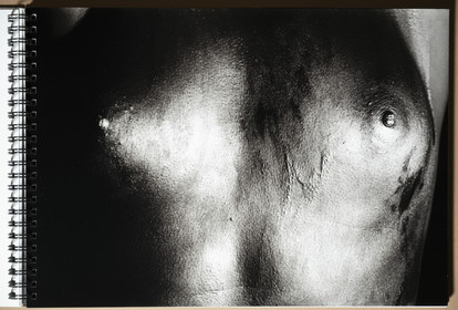 VESTIGES DE NUS