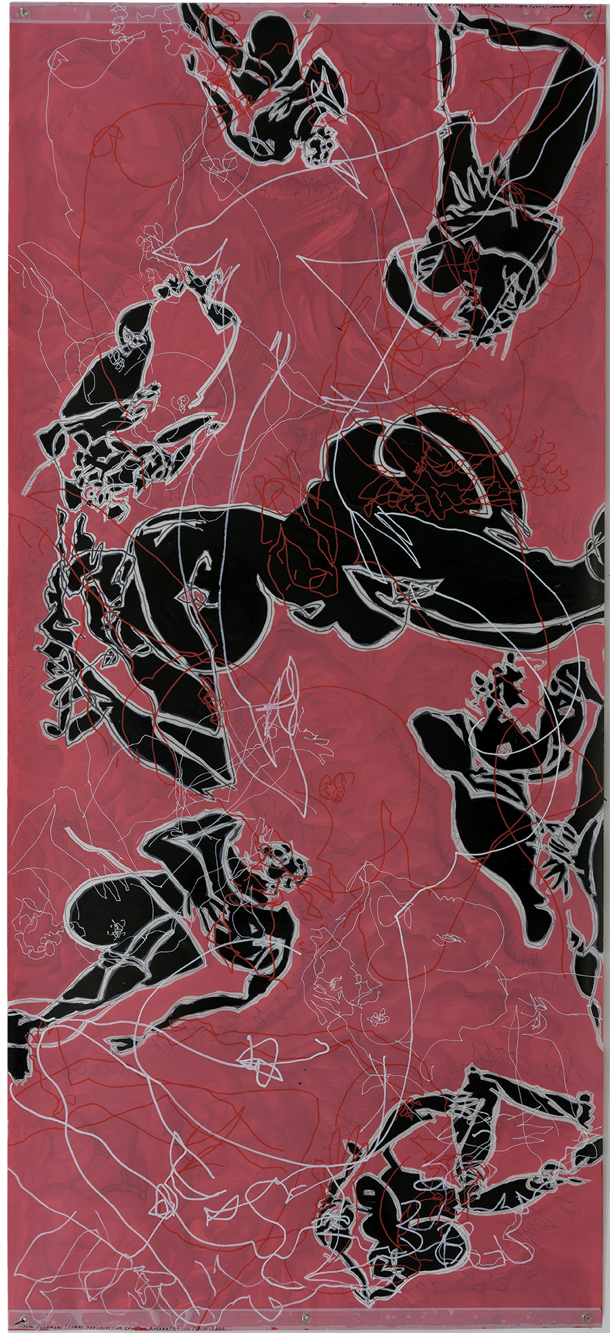 GÉANTE APSARA  04 - CL