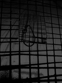 NOIR-4_img.jpg