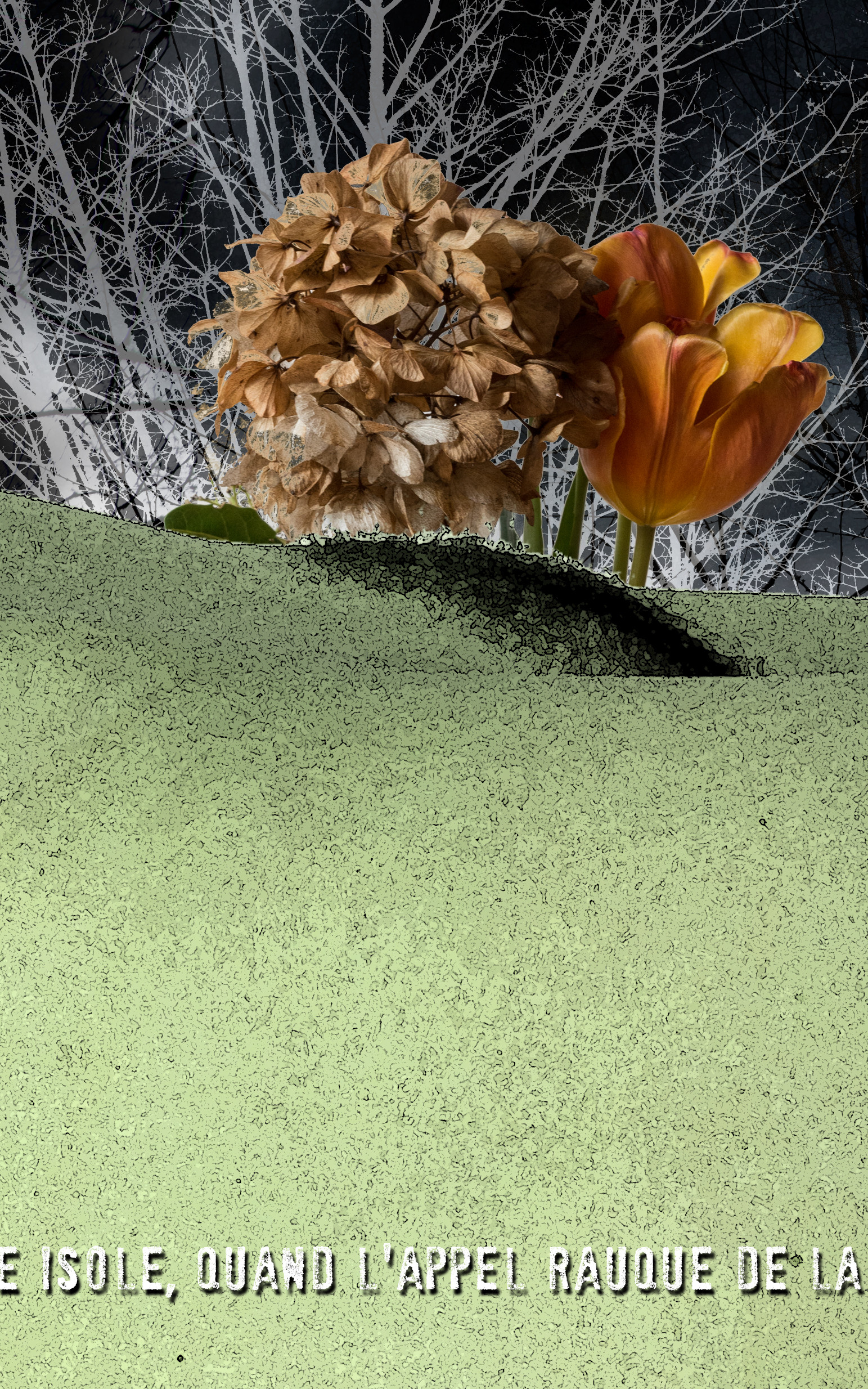 HIVER-08.jpg