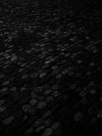 NOIR-2_img.jpg