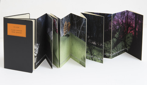 HIVER LE LIVRE.jpg