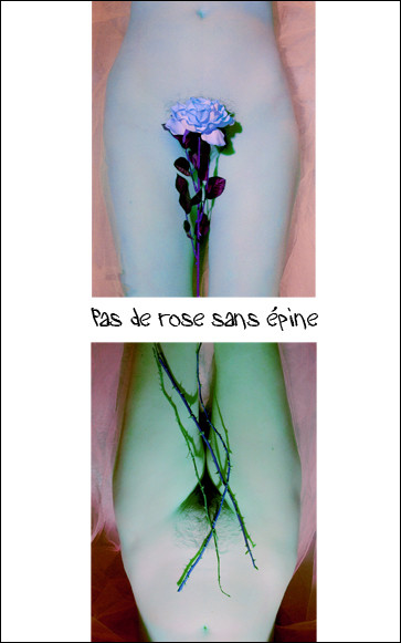 06- ROSE.jpg