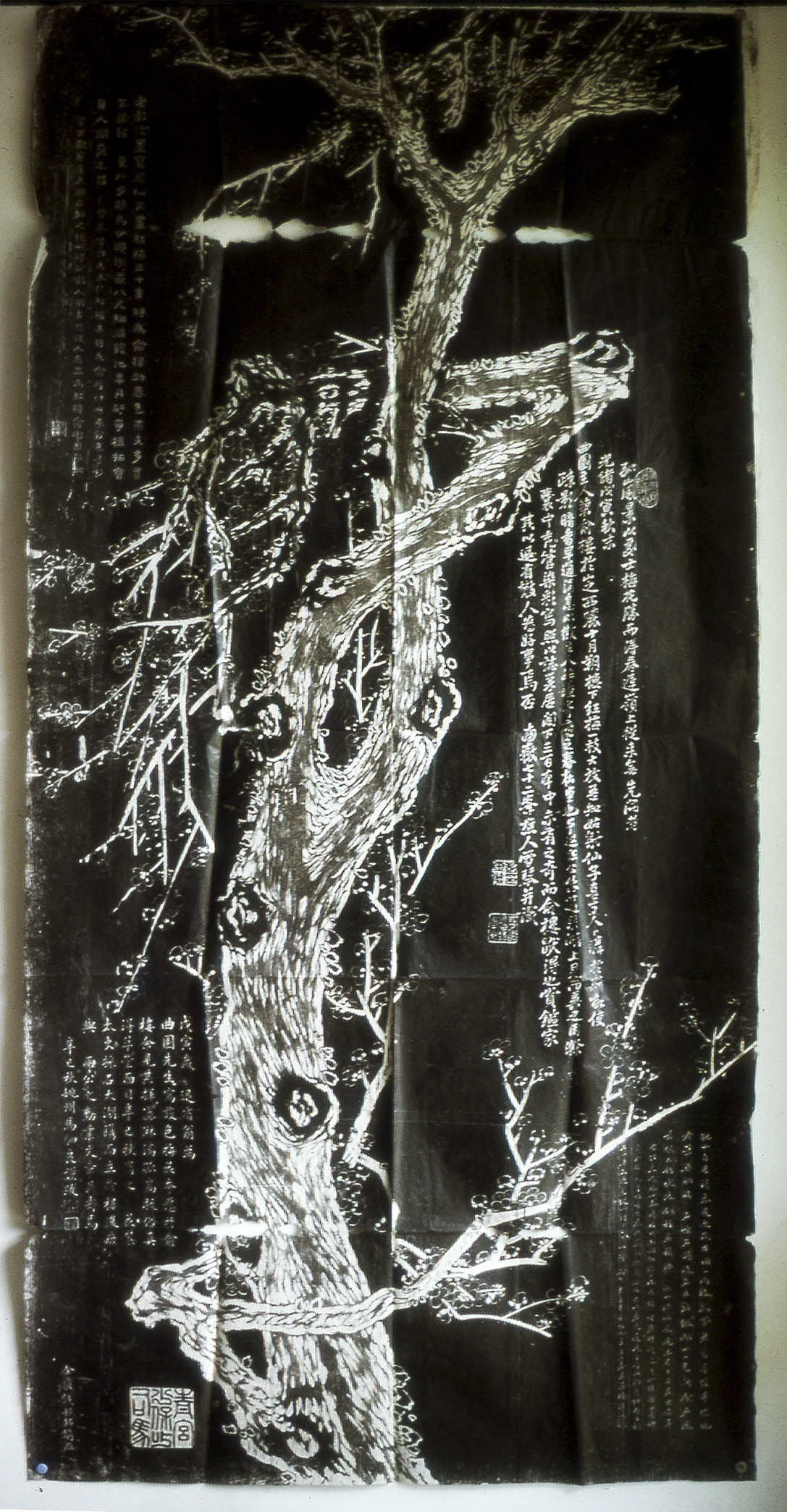 HSIUNG PING MING