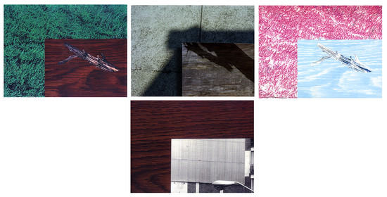 OMBRES 41.jpg