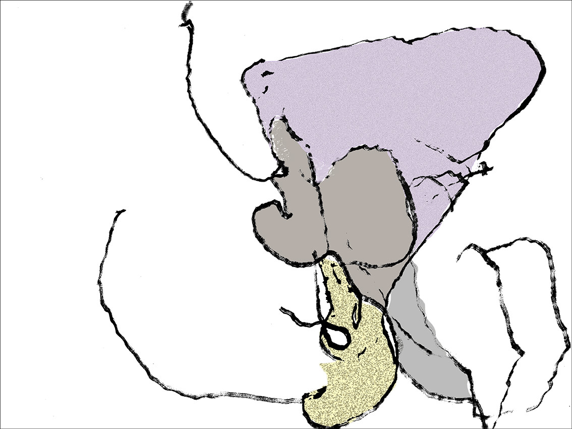 38- OD  CL - SEXE DOS 3