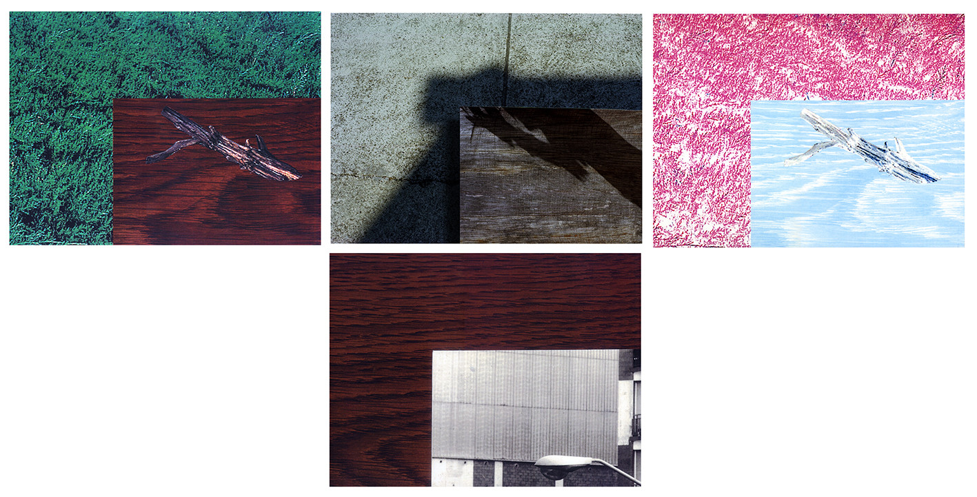 OMBRES 41.jpg