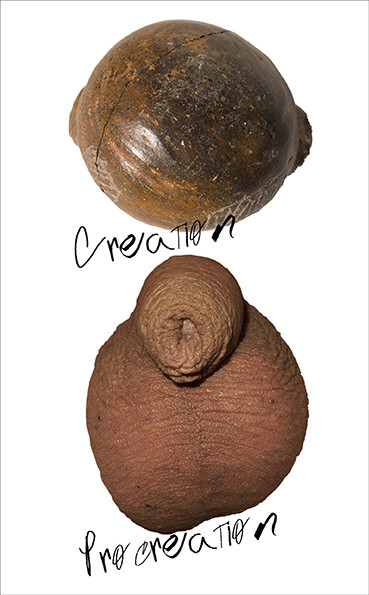 15-CREATION.jpg