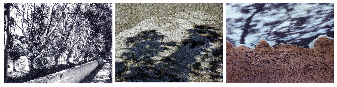 OMBRES 39.jpg
