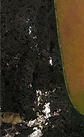 AUTOMNE-11.jpg