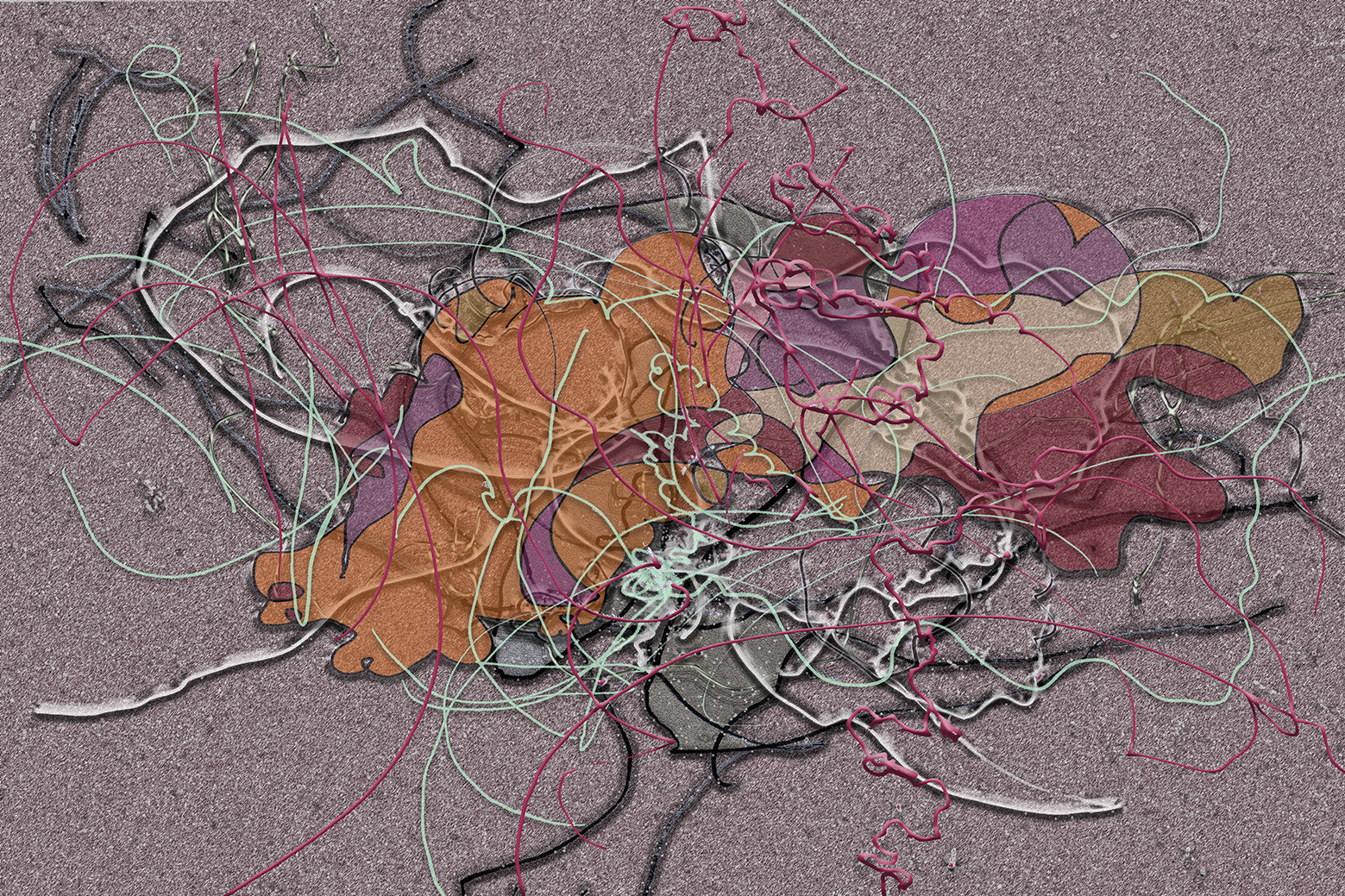 60- CL  CH - GPMPV - SEXE 60- CL  CH - GPMPV - SEXE