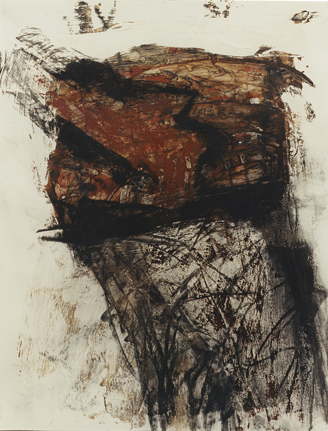 DERIVE  Acrylique, fusain, pigments, terre, poudre de marbre, bitume, graphite, sur papier7 - 8  - 199565 x 50