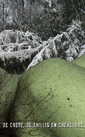 HIVER-04.jpg