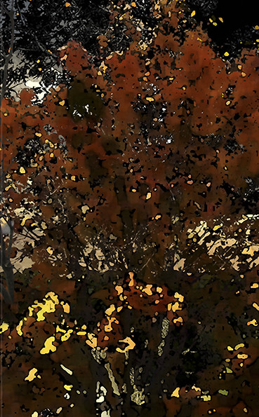 AUTOMNE-15.jpg