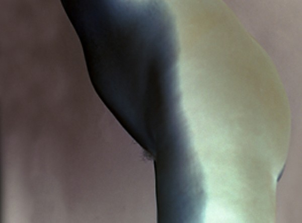 52-milieu-d_img.jpg