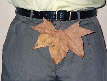 62-E_img.jpg