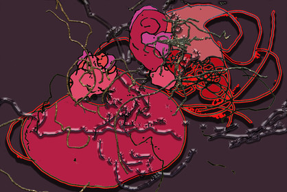 SEXE ET REPONS n° 114