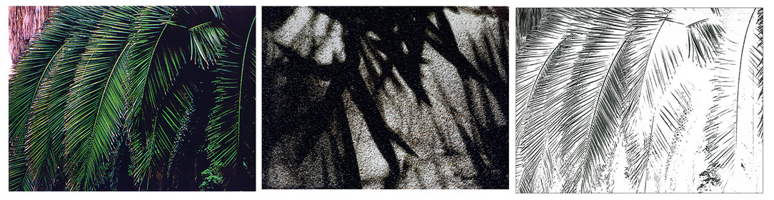 OMBRES 45.jpg