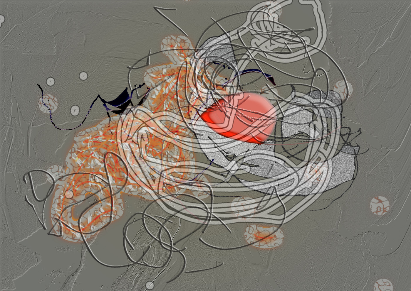 04- BL  CL - SEXE 04- BL  CL - SEXE