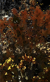 AUTOMNE-15.jpg