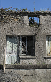 TV-10.jpg