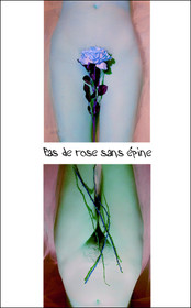06- ROSE.jpg