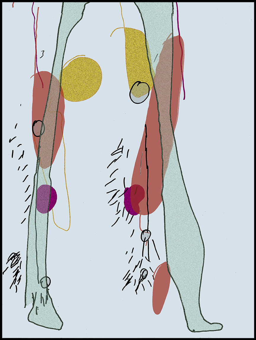 CE  CL - FACE bas    2014