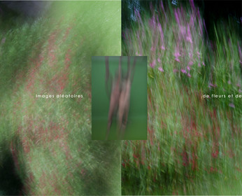 VIVANT-1-2.jpg