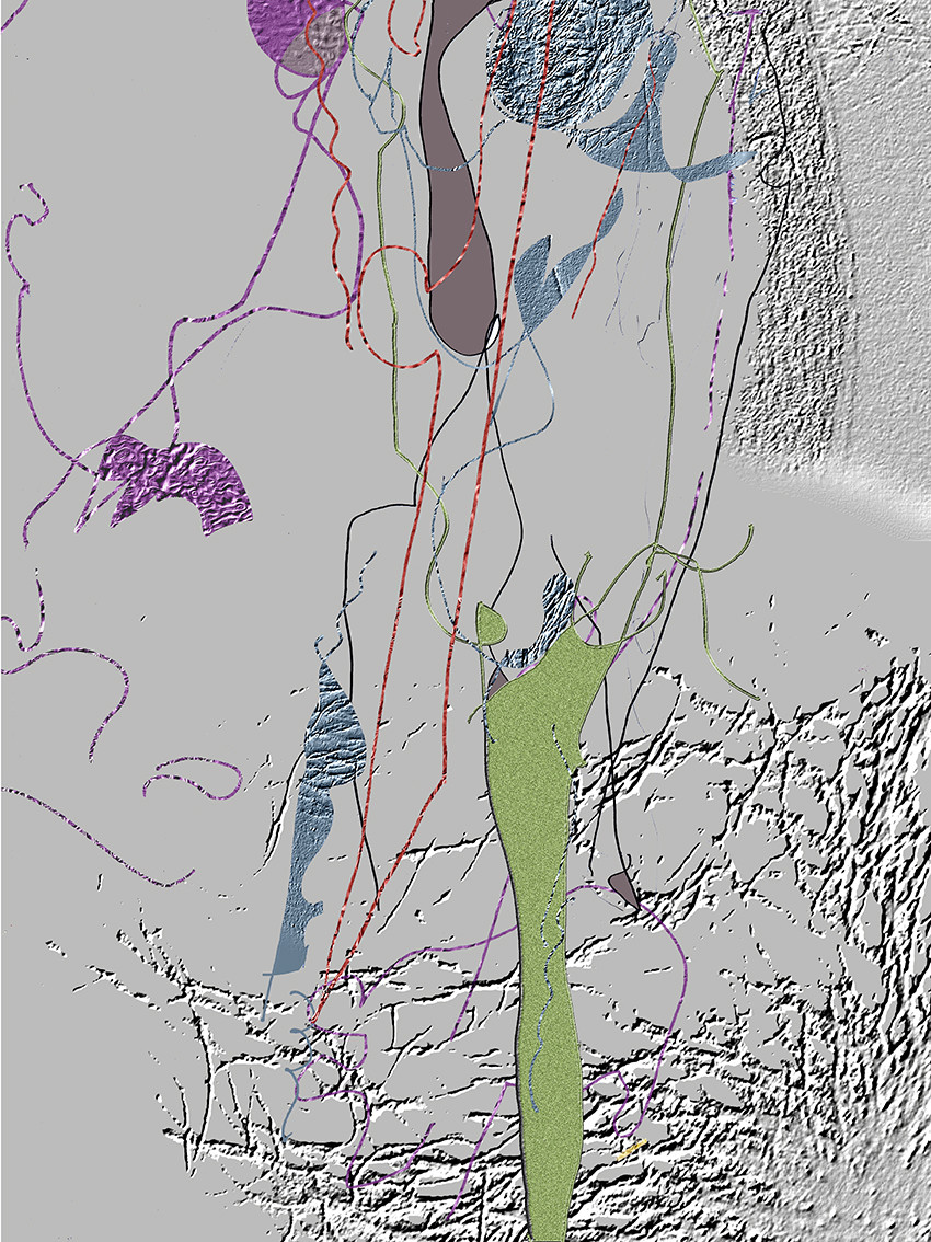 VE-CL_FACE   08-2014   bas
