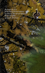 AUTOMNE-03.jpg