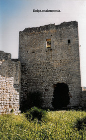 TV-20.jpg