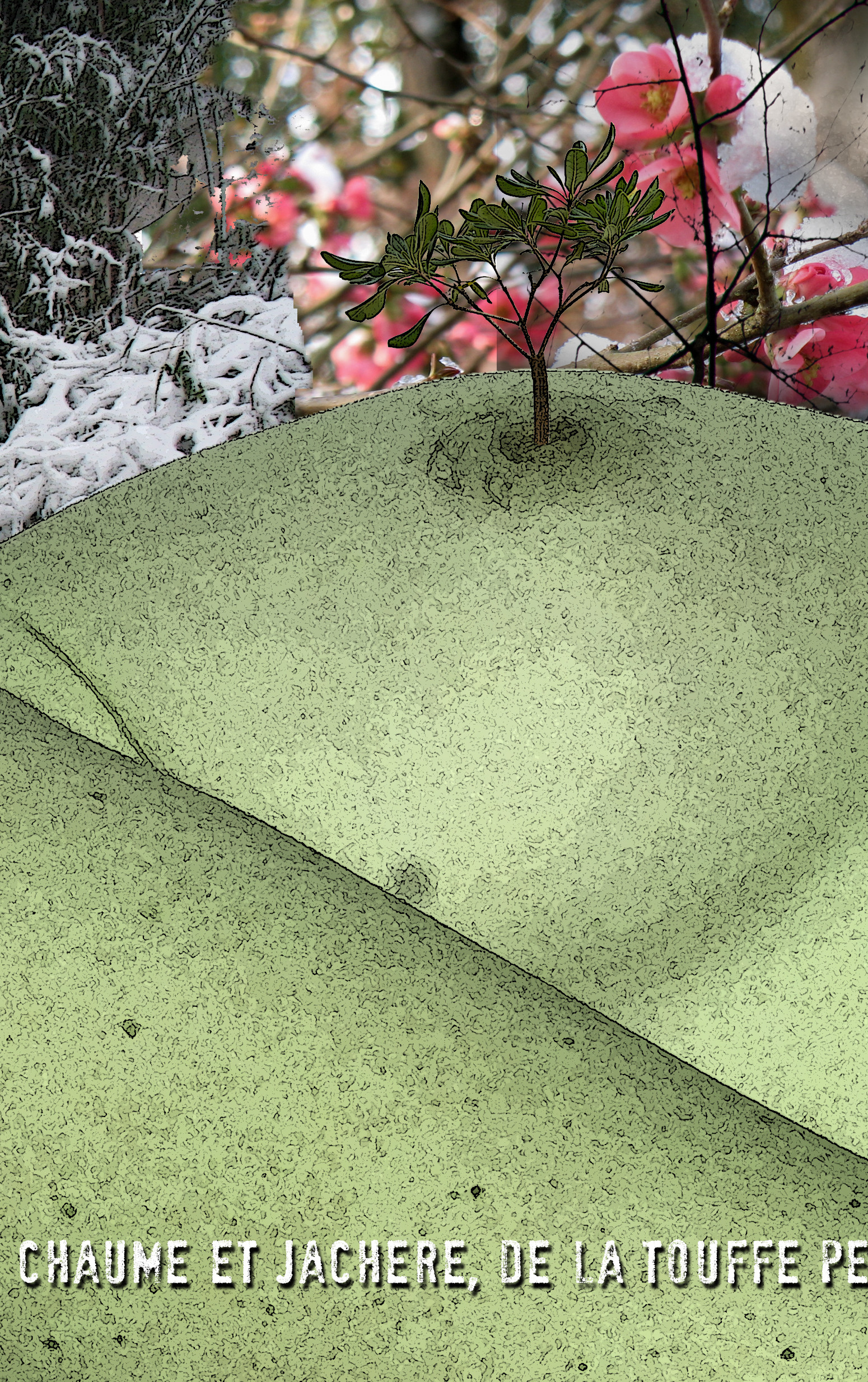 HIVER-05.jpg