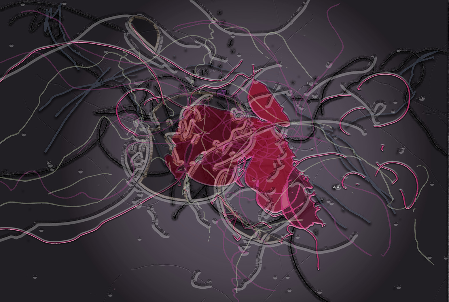 61- CL  MAG - GPMPV - SEXE